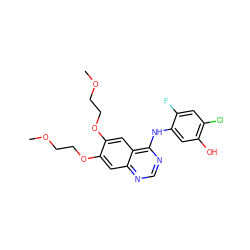 COCCOc1cc2ncnc(Nc3cc(O)c(Cl)cc3F)c2cc1OCCOC ZINC000028704506