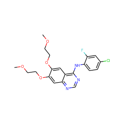 COCCOc1cc2ncnc(Nc3ccc(Cl)cc3F)c2cc1OCCOC ZINC000013803321