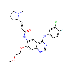 COCCOc1cc2ncnc(Nc3ccc(F)c(Cl)c3)c2cc1NC(=O)/C=C/[C@@H]1CCCN1C ZINC001772643578