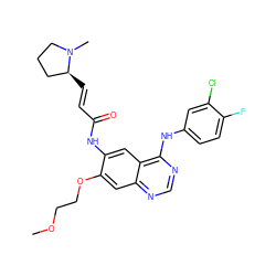 COCCOc1cc2ncnc(Nc3ccc(F)c(Cl)c3)c2cc1NC(=O)/C=C/[C@H]1CCCN1C ZINC000169710313