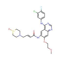 COCCOc1cc2ncnc(Nc3ccc(F)c(Cl)c3)c2cc1NC(=O)/C=C/CN1CC[S+]([O-])CC1 ZINC000214019906