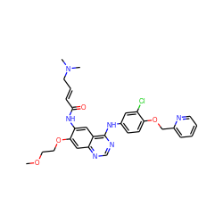 COCCOc1cc2ncnc(Nc3ccc(OCc4ccccn4)c(Cl)c3)c2cc1NC(=O)/C=C/CN(C)C ZINC000213801823