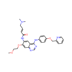 COCCOc1cc2ncnc(Nc3ccc(OCc4ccccn4)cc3)c2cc1NC(=O)/C=C/CN(C)C ZINC000205304382