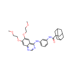 COCCOc1cc2ncnc(Nc3cccc(NC(=O)C45CC6CC(CC(C6)C4)C5)c3)c2cc1OCCOC ZINC000653813139