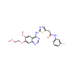 COCCOc1cc2ncnc(Nc3ncc(CC(=O)Nc4cccc(F)c4)s3)c2cc1OC ZINC000013680351