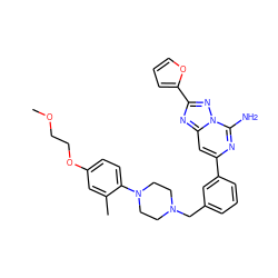 COCCOc1ccc(N2CCN(Cc3cccc(-c4cc5nc(-c6ccco6)nn5c(N)n4)c3)CC2)c(C)c1 ZINC000028119665