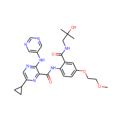 COCCOc1ccc(NC(=O)c2nc(C3CC3)cnc2Nc2cncnc2)c(C(=O)NCC(C)(C)O)c1 ZINC000169701834