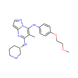 COCCOc1ccc(Nc2c(C)c(N[C@H]3CCCNC3)nc3ccnn23)cc1 ZINC000095553584