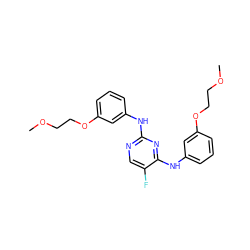 COCCOc1cccc(Nc2ncc(F)c(Nc3cccc(OCCOC)c3)n2)c1 ZINC000114327569