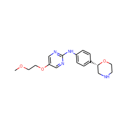 COCCOc1cnc(Nc2ccc([C@H]3CNCCO3)cc2)nc1 ZINC000149952026