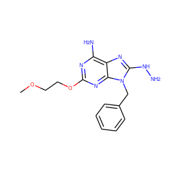 COCCOc1nc(N)c2nc(NN)n(Cc3ccccc3)c2n1 ZINC000040575357