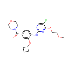 COCCOc1nc(Nc2ccc(C(=O)N3CCOCC3)cc2OC2CCC2)ncc1Cl ZINC000169705114