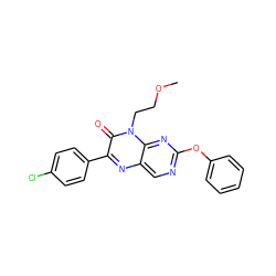 COCCn1c(=O)c(-c2ccc(Cl)cc2)nc2cnc(Oc3ccccc3)nc21 ZINC000004238315