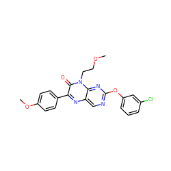 COCCn1c(=O)c(-c2ccc(OC)cc2)nc2cnc(Oc3cccc(Cl)c3)nc21 ZINC000004238248