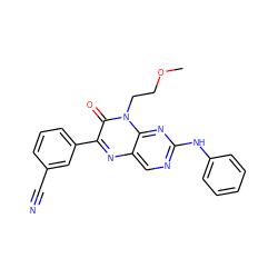 COCCn1c(=O)c(-c2cccc(C#N)c2)nc2cnc(Nc3ccccc3)nc21 ZINC000004238828