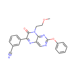 COCCn1c(=O)c(-c2cccc(C#N)c2)nc2cnc(Oc3ccccc3)nc21 ZINC000004238565