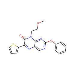 COCCn1c(=O)c(-c2cccs2)nc2cnc(Oc3ccccc3)nc21 ZINC000004238608