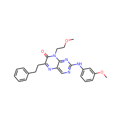 COCCn1c(=O)c(CCc2ccccc2)nc2cnc(Nc3cccc(OC)c3)nc21 ZINC000004238377