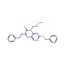 COCCn1c(=O)c(CCc2ccccc2)nc2cnc(OCc3ccccc3)nc21 ZINC000004238612