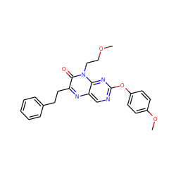 COCCn1c(=O)c(CCc2ccccc2)nc2cnc(Oc3ccc(OC)cc3)nc21 ZINC000004238610