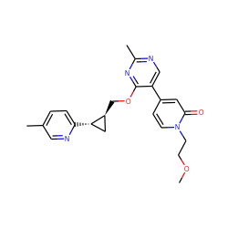 COCCn1ccc(-c2cnc(C)nc2OC[C@H]2C[C@@H]2c2ccc(C)cn2)cc1=O ZINC000209437356