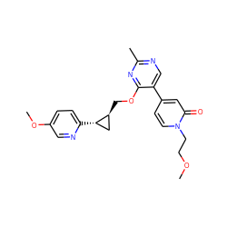 COCCn1ccc(-c2cnc(C)nc2OC[C@H]2C[C@@H]2c2ccc(OC)cn2)cc1=O ZINC000209427189