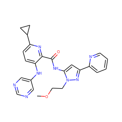 COCCn1nc(-c2ccccn2)cc1NC(=O)c1nc(C2CC2)ccc1Nc1cncnc1 ZINC000072315822