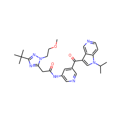 COCCn1nc(C(C)(C)C)nc1CC(=O)Nc1cncc(C(=O)c2cn(C(C)C)c3ccncc23)c1 ZINC001772569990