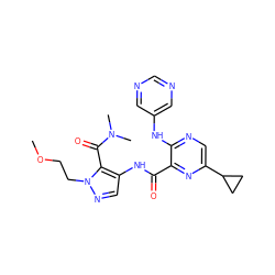 COCCn1ncc(NC(=O)c2nc(C3CC3)cnc2Nc2cncnc2)c1C(=O)N(C)C ZINC000169701656