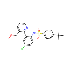 COCc1cccnc1-c1cc(Cl)ccc1NS(=O)(=O)c1ccc(C(C)(C)C)cc1 ZINC000474605256