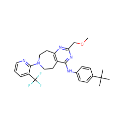 COCc1nc2c(c(Nc3ccc(C(C)(C)C)cc3)n1)CCN(c1ncccc1C(F)(F)F)CC2 ZINC000144403941