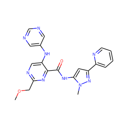 COCc1ncc(Nc2cncnc2)c(C(=O)Nc2cc(-c3ccccn3)nn2C)n1 ZINC000096167386