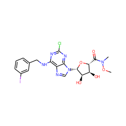 CON(C)C(=O)[C@H]1O[C@@H](n2cnc3c(NCc4cccc(I)c4)nc(Cl)nc32)[C@H](O)[C@@H]1O ZINC000042889060