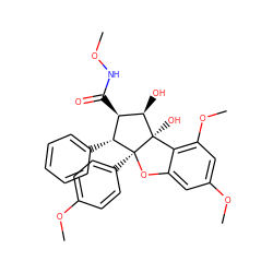 CONC(=O)[C@@H]1[C@@H](c2ccccc2)[C@]2(c3ccc(OC)cc3)Oc3cc(OC)cc(OC)c3[C@]2(O)[C@@H]1O ZINC000084689886