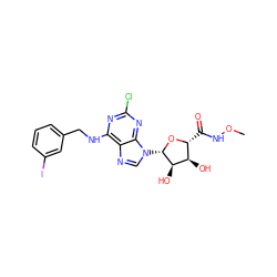 CONC(=O)[C@H]1O[C@@H](n2cnc3c(NCc4cccc(I)c4)nc(Cl)nc32)[C@H](O)[C@@H]1O ZINC000049878048