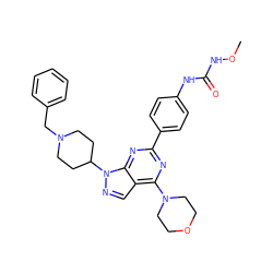 CONC(=O)Nc1ccc(-c2nc(N3CCOCC3)c3cnn(C4CCN(Cc5ccccc5)CC4)c3n2)cc1 ZINC000049783657