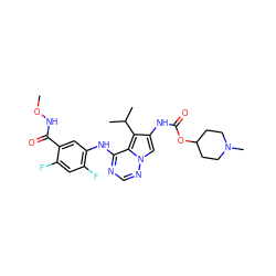 CONC(=O)c1cc(Nc2ncnn3cc(NC(=O)OC4CCN(C)CC4)c(C(C)C)c23)c(F)cc1F ZINC000013645297