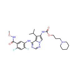 CONC(=O)c1cc(Nc2ncnn3cc(NC(=O)OCCCN4CCCCC4)c(C(C)C)c23)c(F)cc1F ZINC000003938409