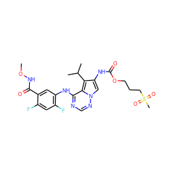 CONC(=O)c1cc(Nc2ncnn3cc(NC(=O)OCCCS(C)(=O)=O)c(C(C)C)c23)c(F)cc1F ZINC000003938408