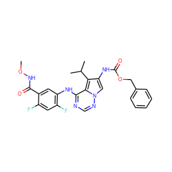 CONC(=O)c1cc(Nc2ncnn3cc(NC(=O)OCc4ccccc4)c(C(C)C)c23)c(F)cc1F ZINC000013645286