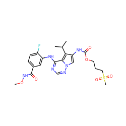 CONC(=O)c1ccc(F)c(Nc2ncnn3cc(NC(=O)OCCCS(C)(=O)=O)c(C(C)C)c23)c1 ZINC000040937978