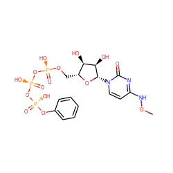 CONc1ccn([C@@H]2O[C@H](CO[P@@](=O)(O)O[P@@](=O)(O)O[P@@](=O)(O)Oc3ccccc3)[C@@H](O)[C@H]2O)c(=O)n1 ZINC000049775081