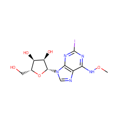 CONc1nc(I)nc2c1ncn2[C@@H]1O[C@H](CO)[C@@H](O)[C@H]1O ZINC000034800903