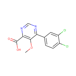 COc1c(C(=O)O)ncnc1-c1ccc(Cl)c(Cl)c1 ZINC000206199958