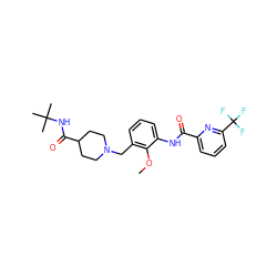 COc1c(CN2CCC(C(=O)NC(C)(C)C)CC2)cccc1NC(=O)c1cccc(C(F)(F)F)n1 ZINC001772597958