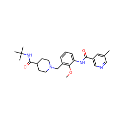 COc1c(CN2CCC(C(=O)NC(C)(C)C)CC2)cccc1NC(=O)c1cncc(C)c1 ZINC001772569939