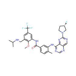 COc1c(CNC(C)C)cc(C(F)(F)F)cc1NC(=O)c1ccc(C)c(Nc2ncnc3cnc(N4CC[C@H](F)C4)nc23)c1 ZINC000166222645
