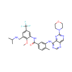 COc1c(CNC(C)C)cc(C(F)(F)F)cc1NC(=O)c1ccc(C)c(Nc2ncnc3cnc(N4CCOCC4)nc23)c1 ZINC000166221873