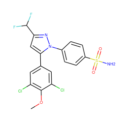 COc1c(Cl)cc(-c2cc(C(F)F)nn2-c2ccc(S(N)(=O)=O)cc2)cc1Cl ZINC000013761823