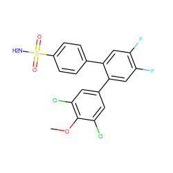 COc1c(Cl)cc(-c2cc(F)c(F)cc2-c2ccc(S(N)(=O)=O)cc2)cc1Cl ZINC000013755793